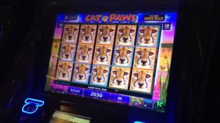 CAT PAWS Slot Machine - FREE SPINS BONUS FEATURE & LINE HIT