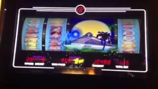 Cash Cruise-Bally Slot Machine Bonus