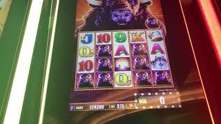 Buffffallllooooooo!  Slot Machine Win :)