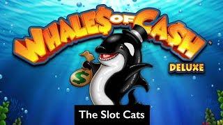 Dawn of the Andes • Whales of Cash Deluxe • The Slot Cats •