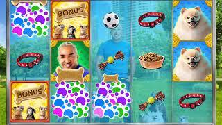 CESAR MILAN Video Slot Casino Game with a DOG RUN FREE SPIN BONUS