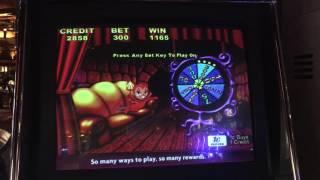 Wild Panthers - Lil' Lucy Bonus - Big Win! - $3 Bet.  Had an incredible run on this machine