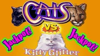 • BIG JACKPOT • • CATS VS KITTY • HIGH LIMIT SLOT