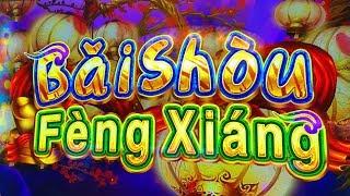 NEW GAME Bai Shou Feng Xiang • The Slot Cats •