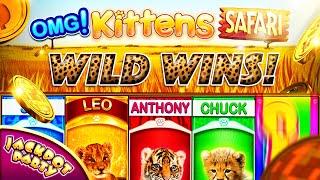 Play OMG Kittens Safari free!