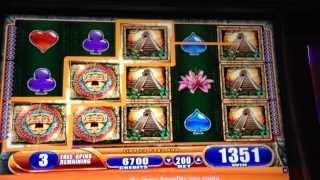 Jungle Wild III - WMS Slot Machine Bonus Win