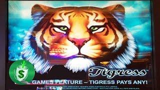 Tigress classic slot machine, DBG