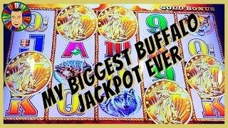 ⋆ Slots ⋆My Biggest Jackpot Ever on Buffalo Gold MUST WATCH⋆ Slots ⋆
