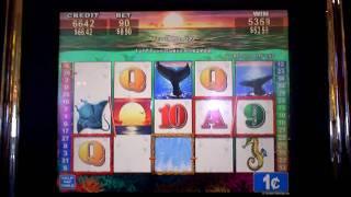 Oceans Wild slot machine video bonus