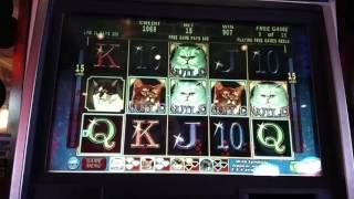 $$ ALL CATS WILD NO TAX HANDPAY JACKPOT $15 Kitty Glitter Slot machine Free Spin bonus