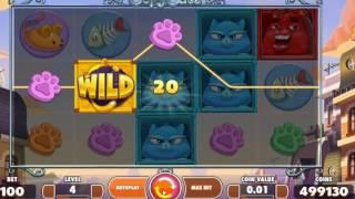 Copy Cats new slot from Netent dunover tries