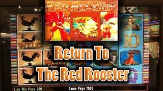 • The Raja Returns To The Red Rooster •