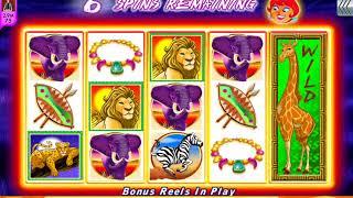 HOT HOT PENNY KING OF AFRICA Video Slot Casino Game with a "BIG WIN" FREE SPIN BONUS