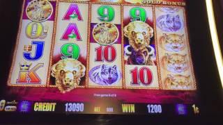 Multiple Buffalo Gold Slot Machine Bonus Rounds $6.00 Max And $3.00 Bets.