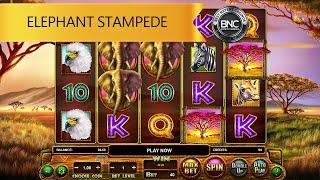 Elephant Stampede slot by Ruby Play