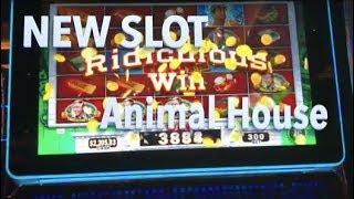 NEW SLOT - Animal House - Bonus Wins!!