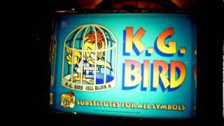 K.G. Bird 5 SCATTERS - 25c. BIG WIN!! Aristocrats Slots