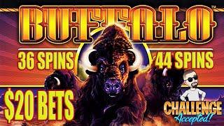 $2000 EPIC MUST WATCH BATTLE ON HIGH LIMIT BUFFALO $20 A SPIN!!!