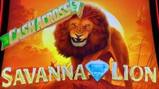⋆ Slots ⋆ALMOST GAVE UP, BUT FINALLY  LOT OF LIONS CAME !!⋆ Slots ⋆SAVANNA LION (CASH ACROSS) Slot ⋆ Slots ⋆$130 Free Play⋆ Slots ⋆栗