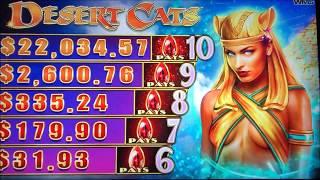 •AMAZING BONUS WIN !•DESERT CATS (IGT) Slot $3.75 Max Bet•$125 Free Play Slot Live Play•彡栗スロ