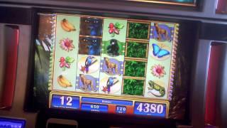 Gorilla Chief slot bonus win at Parx Casino