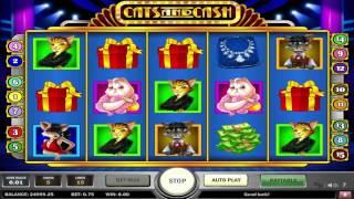 Cats and Cash• online slot by Play'n Go video preview