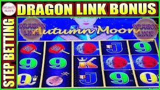 I Did Step Betting On Dragon Link Autumn Moon Slot Machine | See What Happens