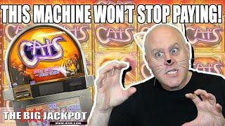 MEGA WIN$ •High Limit Cats Slot Machine | The Big Jackpot