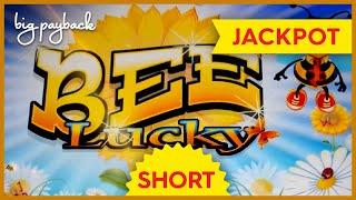 BIGGEST HANDPAY JACKPOT on YouTube for Bee Lucky Slot! #Shorts
