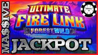 •NEW SLOTS! Ultimate Fire Link Forest Wild & Country Lights •HIGH LIMIT MASSIVE JACKPOT HANDPAY •