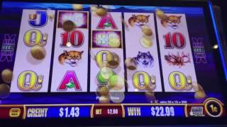 Wonder 4 Jackpots Buffalo Deluxe Slot Machine Bonus