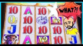 I CAN'T BELIEVE THIS! BUFFALO GOLD BONUSES •