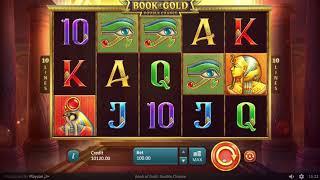 Book of Gold Double Chance slot by Playson