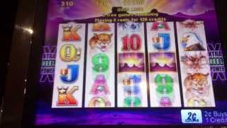 31 Free Spins Buffalo 2 cent Slot Machine video 1 of 2.