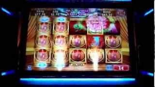 SUPER WIN!... "GORGEOUS CAT" Slot Machine
