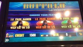 Buffalo Deluxe Slot Machine, A Couple Of Bonus Tries