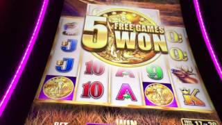 Buffalo Grand Slot Machine~ Min Bet ~ 55 Free Spins! ~ RETRIGGERS! • DJ BIZICK'S SLOT CHANNEL