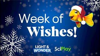 2022 Light & Wonder Holiday Week of Wishes