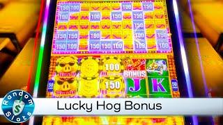 Lucky Hog Slot Machine Bonus