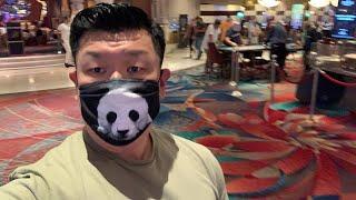 Panda birthday live from Vegas!