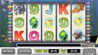 Dolphin King Slot Machine At Intertops Casino