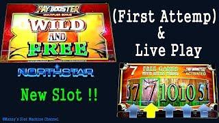 New !!  Machine North Star Bingo Slot Machine Wild and Free Live Play