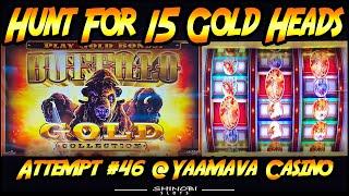 Hunt For 15 Gold Heads!  Episode #46 on Buffalo Gold 3-Reel Slot Machine.  Live Play and Bonus!