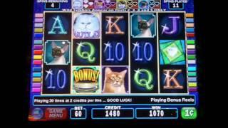 Kitty Glitter Slot Bonus - IGT