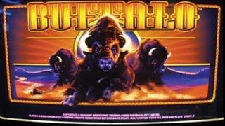 Buffalo Slot Bonus Big Win -Aristocrat