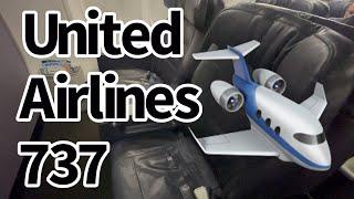 United Airlines Premium Economy - Newark to Las Vegas - FULL FLIGHT REVIEW 737-800