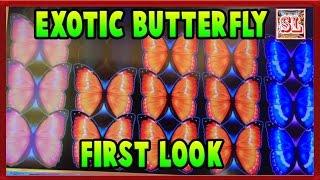 First Look on Exotic Butterfly With Big Win @ Max Bet By Slot Lover