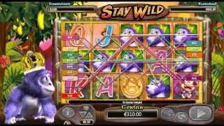 Gorilla Go Wild Slot - Stay Wild Feature - Big Win (206x Bet)