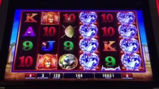 Bull Elephant Slot Machine Free Spin Bonus NYNY Casino Las Vegas