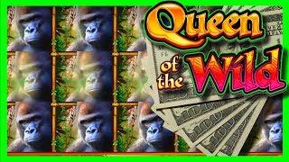 AMAZING 200X BONUS WIN on Queen Of The Wild Slot Machine With SDGuy1234